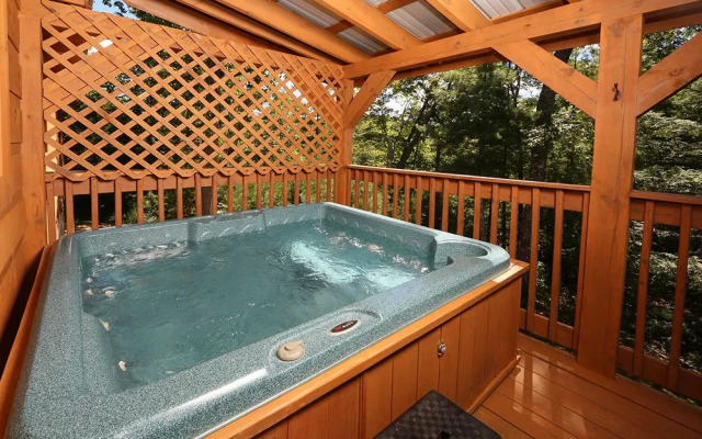 Dare To Bear 238 By Redawning