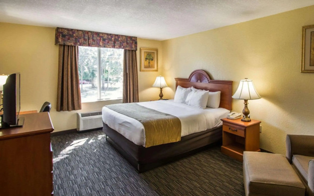 Comfort Inn & Suites Jupiter I-95