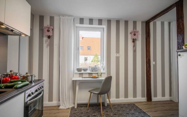 Apartment in Harz With Terrace and Fireplace