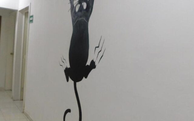 La Casa Del Gato