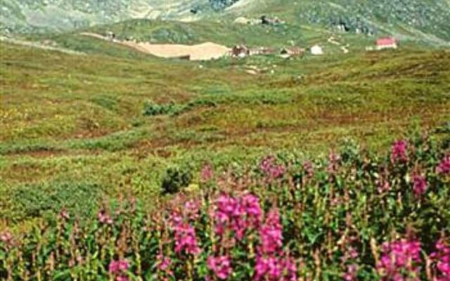 Hatcher Pass Cabins