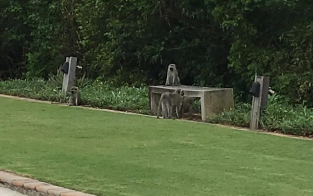 Umhlanga Beach Front 4 Sleeper