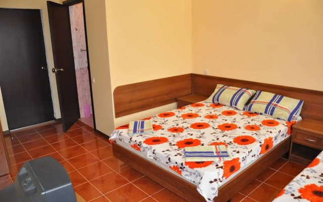 Viktoriya Guest House