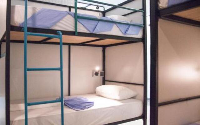 Bunky Monkey - Hostel