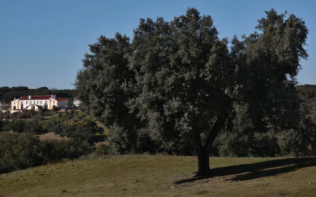 Monte dos Apóstolos