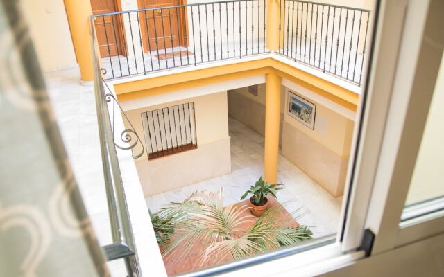 New Wood Studio Plaza la Merced