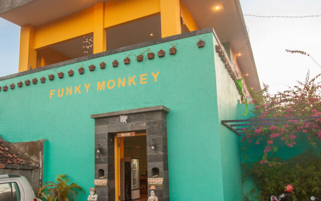 Funky Monkey Bali