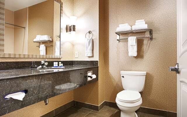 Best Western Plus Texarkana Inn & Suites