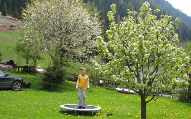 B&B Ciasa Weber