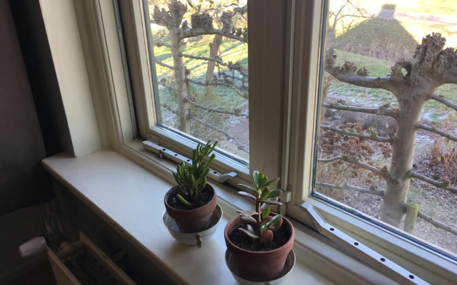 Warmoes tuinderswoning