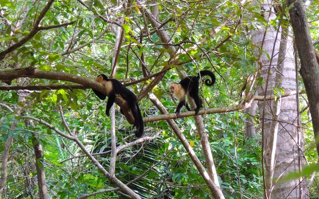 Trujillo Eco Beach 228