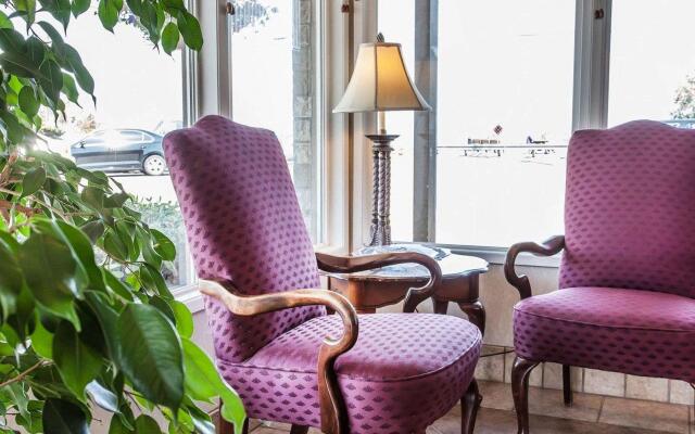 Quality Inn Port Angeles - near Olympic National Park