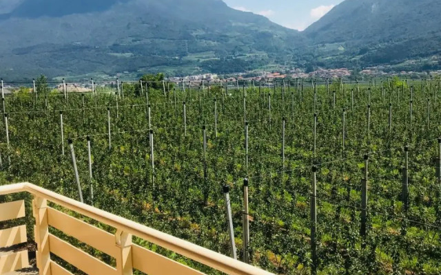 Agriturismo Maso Miri