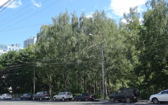 Апартаменты на Белинского 11/66, кв. 79