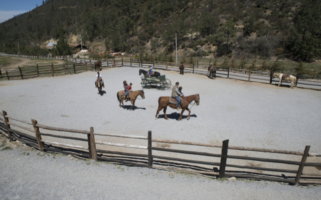 Bosques De Monterreal