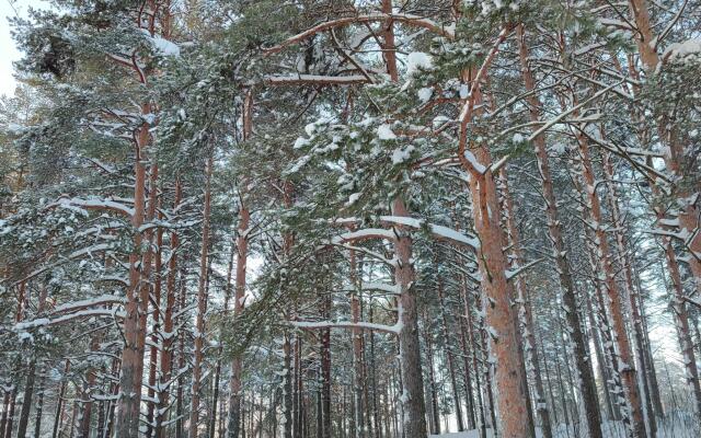 Карельский мыс