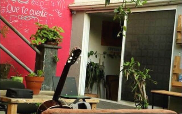 Casa Internacional - Hostel