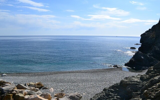 Port Mestral 1