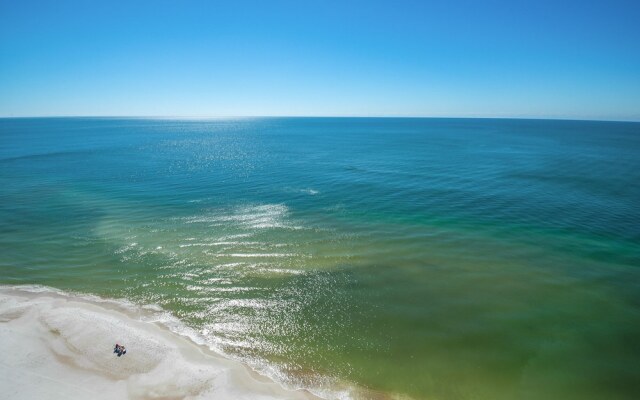 Treasure Island 1202