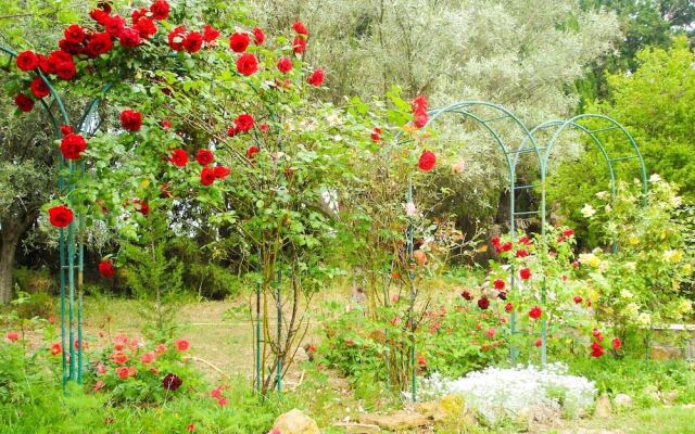 Charming Hunting Lodge near Loupian with garden