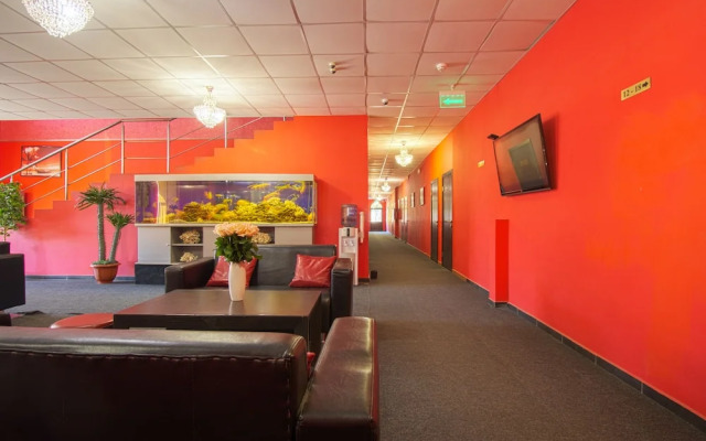  Отель Оазис в Лесу