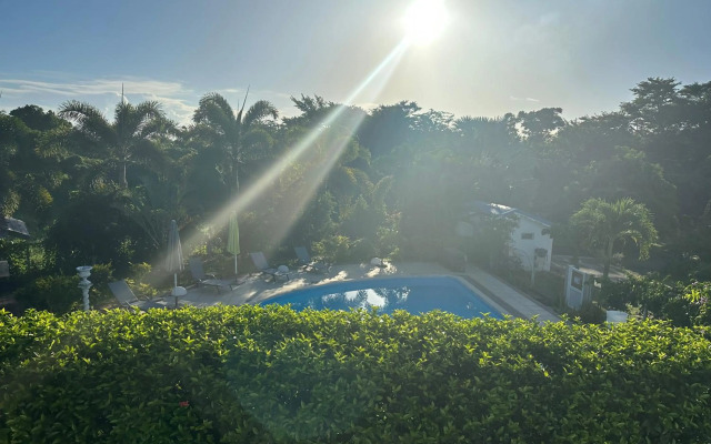 Appartement Coeur de Papillon