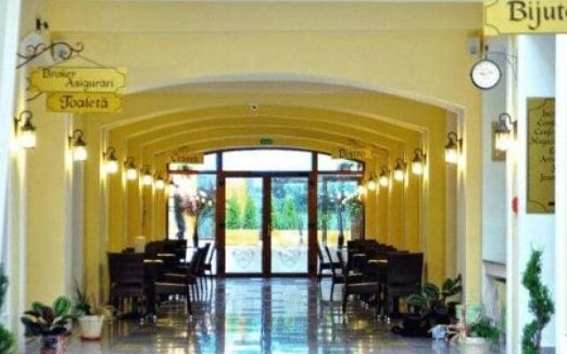 Hotel Leul de Aur