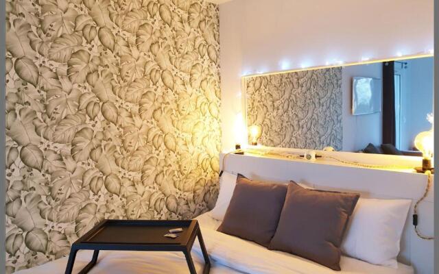 Cosy Case between Disney and Paris