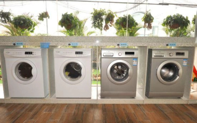 Young Trees Fashion Hotel