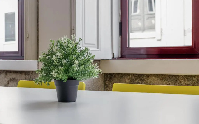 Travel & Live Alegria 248