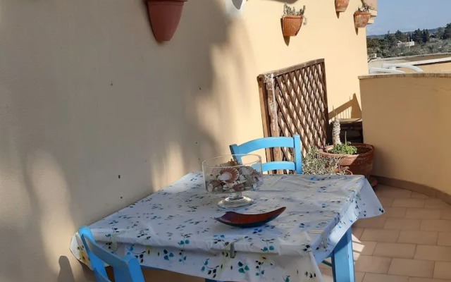 B&B Moonaurora