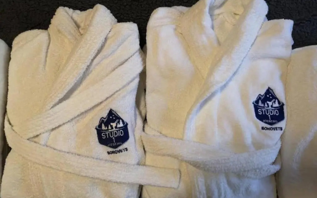 Studio Iceberg Borovets Студио с кухня