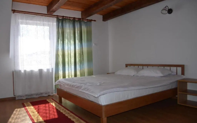 Pensiunea Popasul Iancului