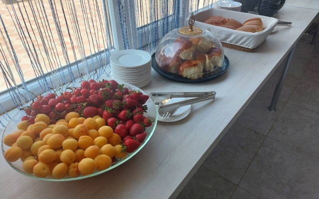 Электра Холидей