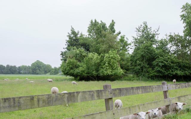 Waterfront Stelp Farmhouse With Sauna
