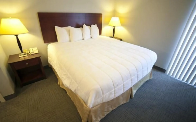 New Haven Village Suites