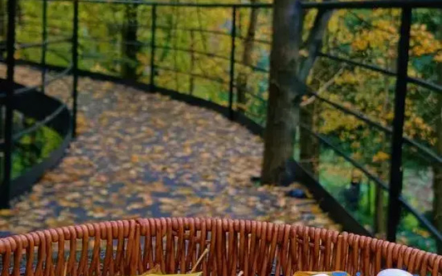 Qingcheng Mountain Suxi Qingshan Forest Homestay
