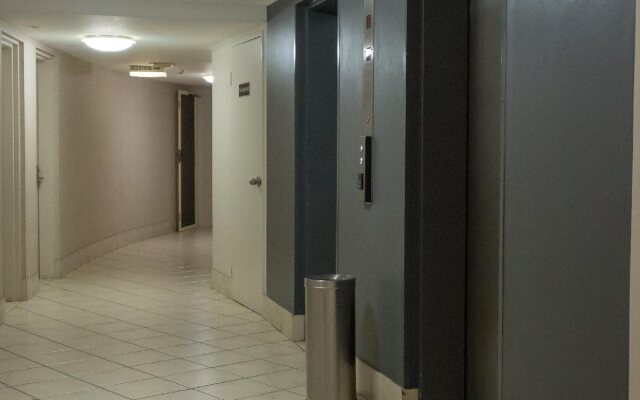 Princess Palm on the Beach