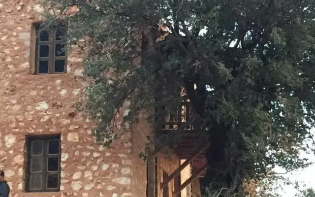 Apollonia Lodge