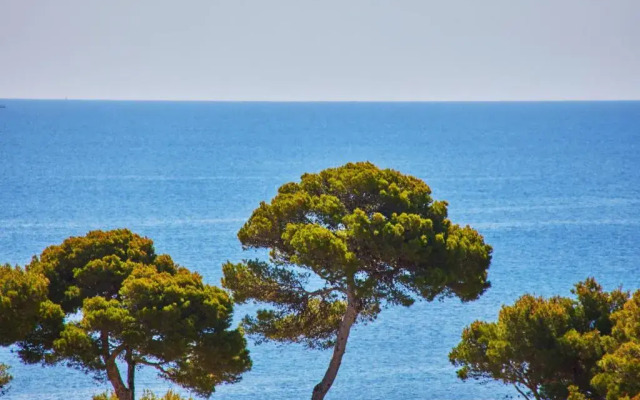 Petit Hotel Restaurante Ses Rotges - Adults Only