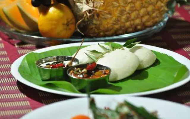 Svaztha Ayurveda Retreat