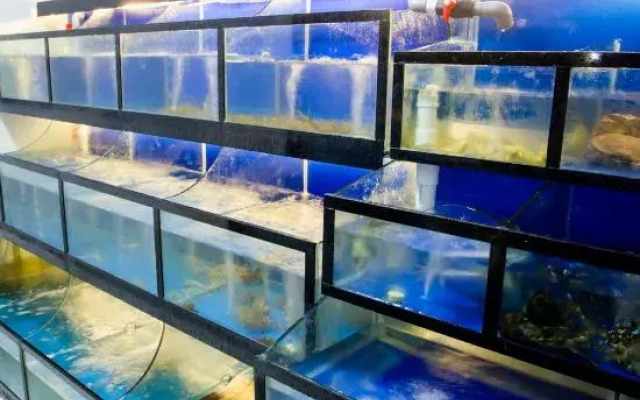 Volcanic Island Lihe94 This Xiang Homestay