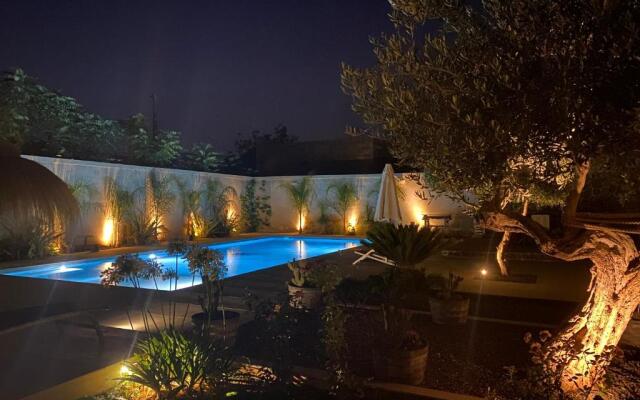 Signorino Suites  Pool