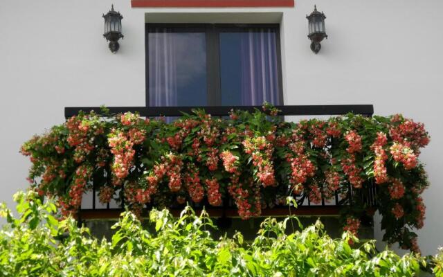 Hoian Aroma Villa