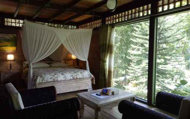 Mi Casa Ijen Guest House