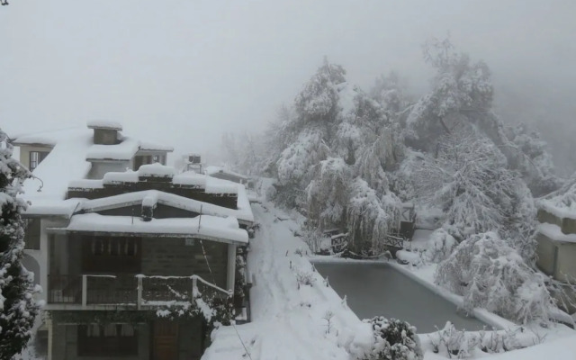 Trishul Orchard Resort