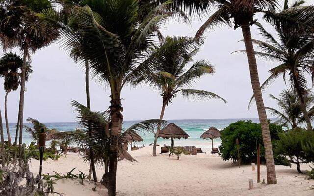 BT Live Tulum located at the party zone
