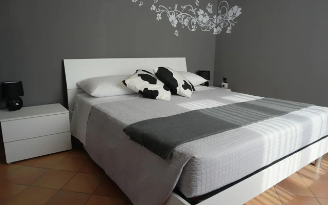 B&B Black And White