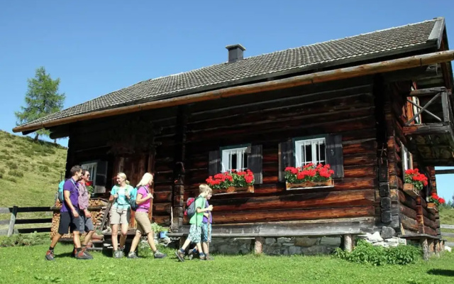 Classic Apartment near Flachau Salzburg with Mountain View
