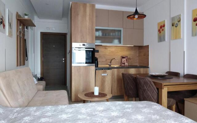 Apartment Deluxe Sunny Valley Milmari S8